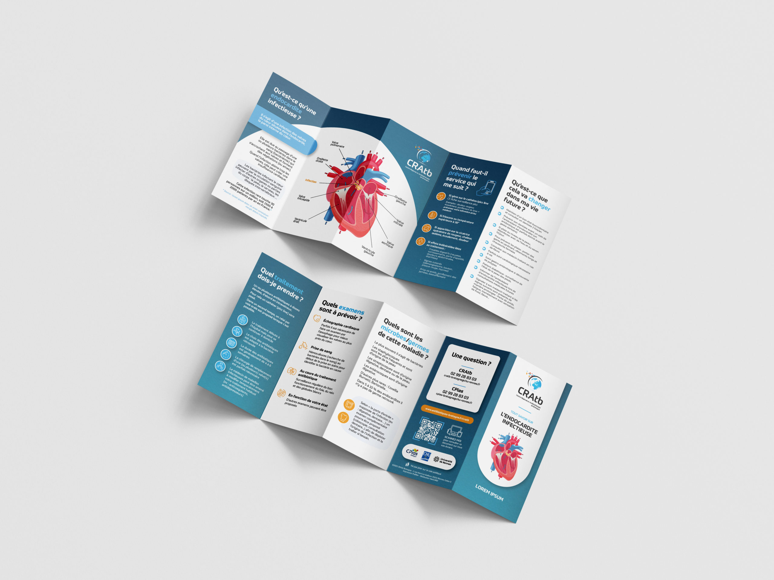 Flyer endocardite infectieuse - CRATb